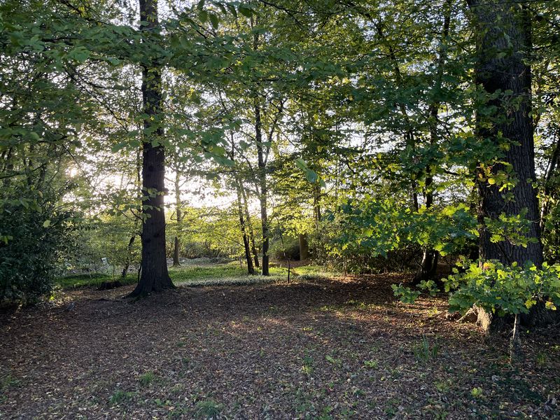 Lagham Park South Godstone